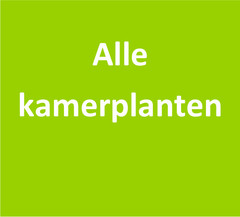 Alle kamerplanten