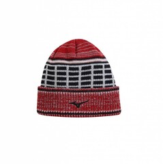 Beanies & Mützen