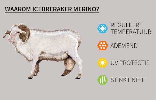 Waarom Icebreaker Merino ondergoed?