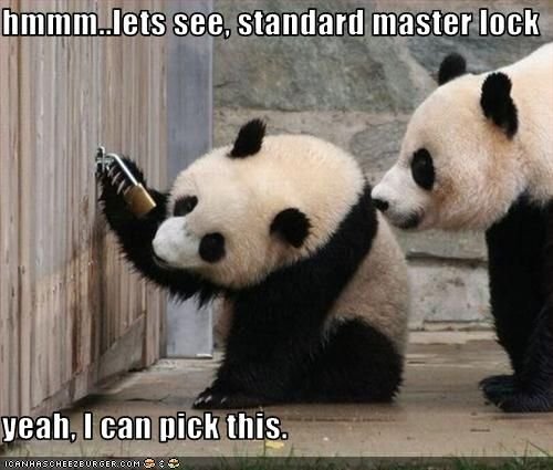 Lockpicking humor en trucs