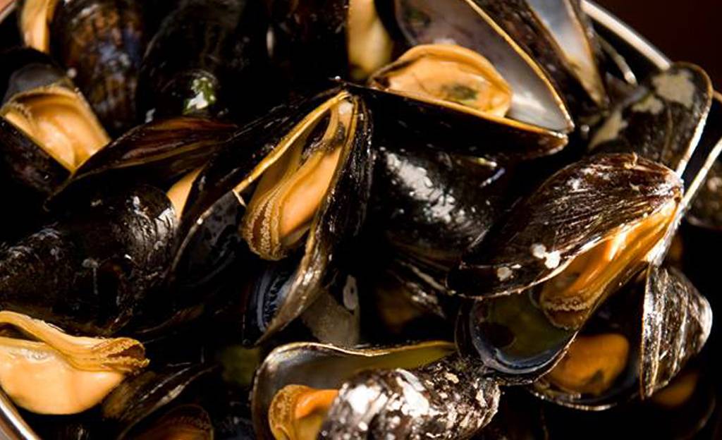 Mosselen met de Picpoul de Pinet