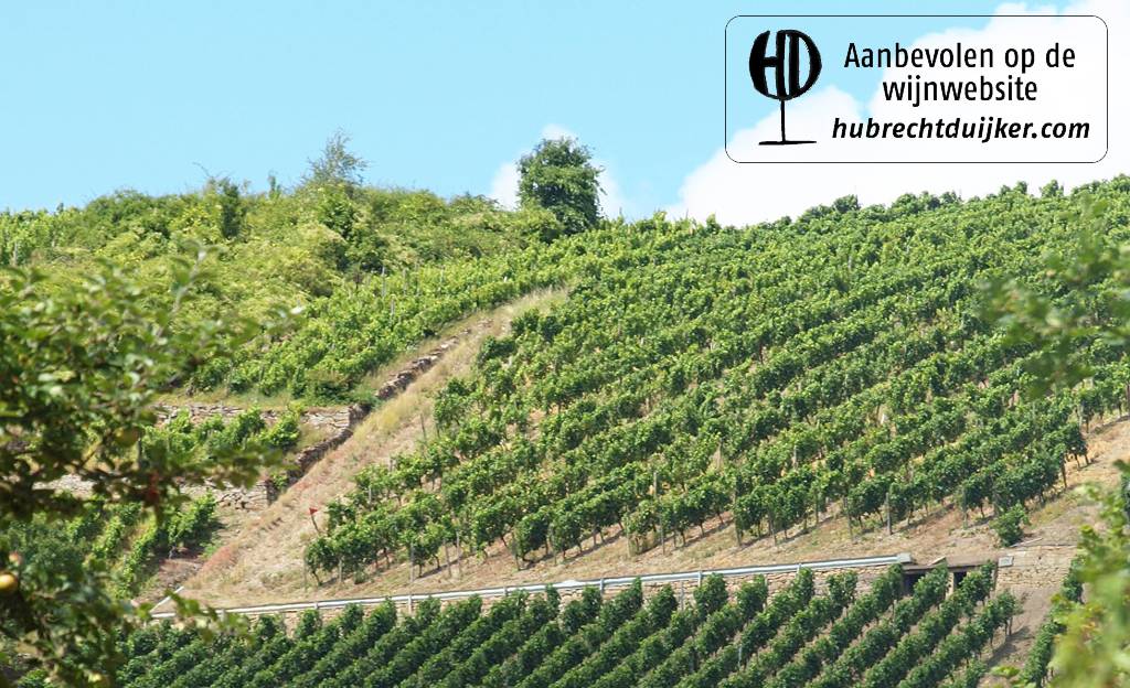 Hubrecht Duijker over Weingut Mathern