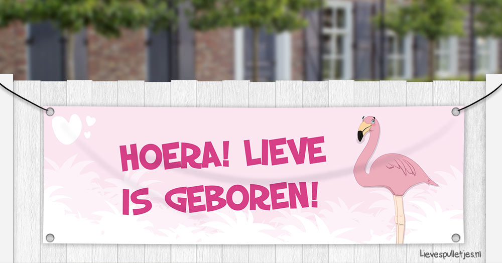 geboortespandoek Flamingo