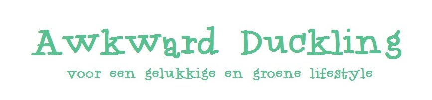 BLOG | Awkward Duckling