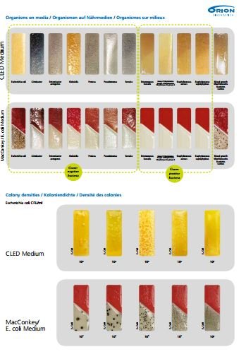 uricult trio dip slide chart medische vakhandel