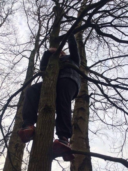 Boomklimmen en angsten overwinnen