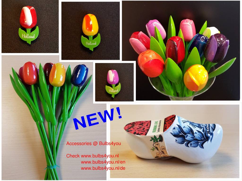 NEU -@ Bulbs4you - Zubehör blümenzwiebeln