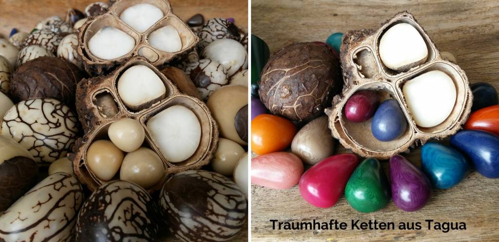 Tagua