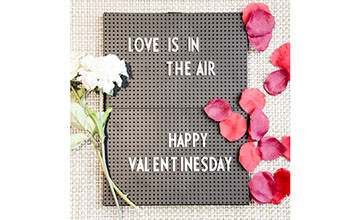 Love Is In The Air