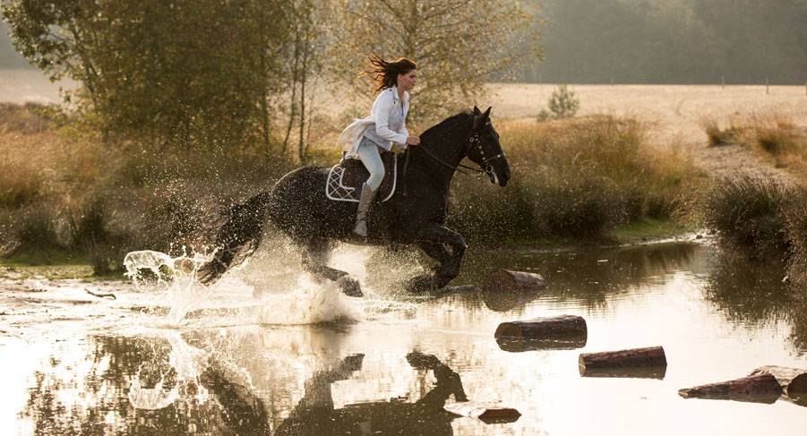 La Gauchita, The Adventurous Sister
