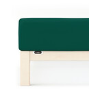 Schlafgut Schlafgut EASY Jersey Elasthan Hoeslaken XL - 180x200 - 200x220 690 Green Deep