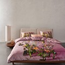 Essenza Essenza Ficaria Housse de couette 240x200/220 Woodrose