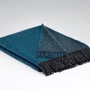 Mcnutt of Donegal McNutt of Donegal  plaid pure wool  Reversible 145x200 Larkspur