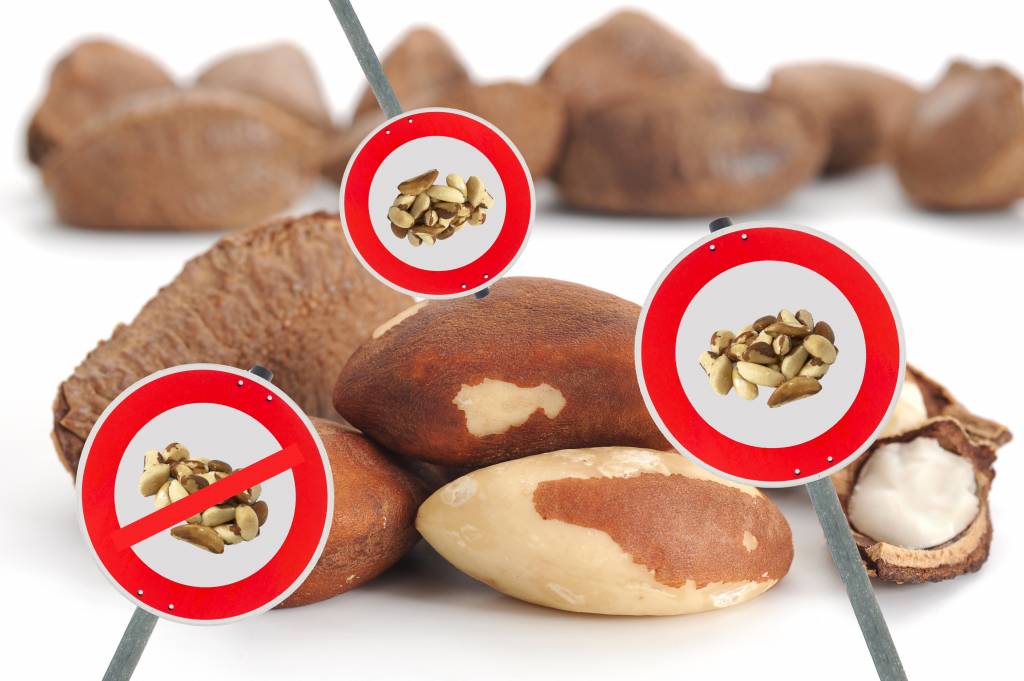 Schaarste op de paranotenmarkt