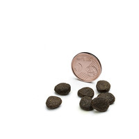 Canagan voor katten Schotse Zalm