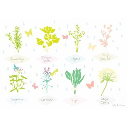 Holly Francesca HERBS A4 Holly Francesca HERBS A4