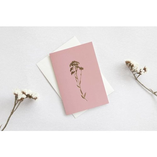 Ola Ola Foil Blocked Card Botanical Collection - Alyssum Ola Ola Foil Blocked Card Botanical Collection - Alyssum