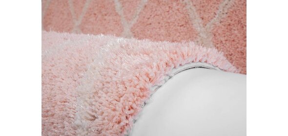 Feel Me Vloerkleed 160x230 Roze Obsession Feel Me Vloerkleed 160x230 Roze