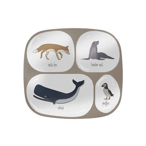 Sebra Sebra vakkenbordje Arctic Animals 0+ Sebra Sebra vakkenbordje Arctic Animals 0+