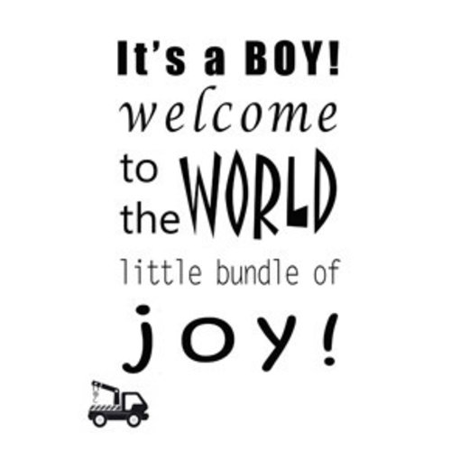 Gnoom Kaart met envelop Its a boy! Gnoom Kaart met envelop Its a boy!