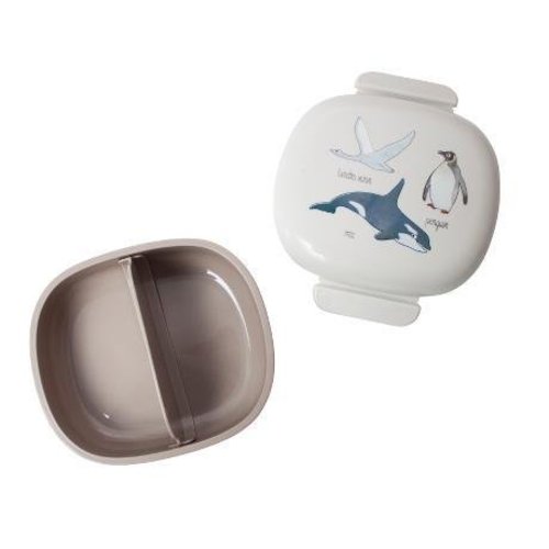 Sebra Sebra lunchbox arctic animals Sebra Sebra lunchbox arctic animals