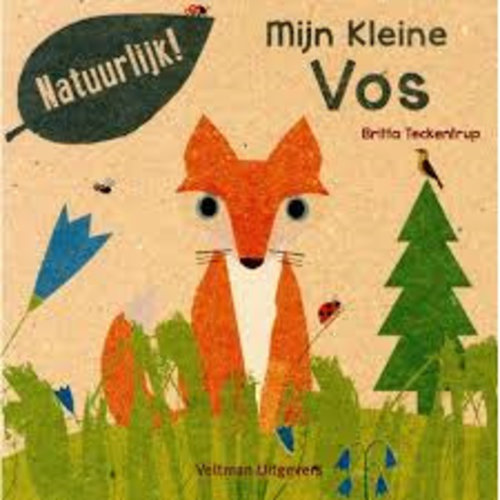 Mijn Kleine vos. Britta Teckentrup 100% gerecycled papier en gedrukt met eco-inkt Mijn Kleine vos. Britta Teckentrup 100% gerecycled papier en gedrukt met eco-inkt
