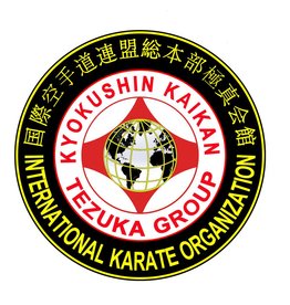 IBK KYOKUSHINKAI BUDOKAI - ALL ROUND FIGHTING LOGO EMBROIDERY ...