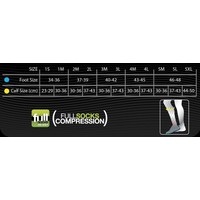 Compressport Full Socks Wit 3D. DOT (V2)