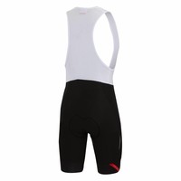Short de cyclisme Sportful Fiandre Norain court