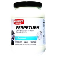 Hammer Nutrition PERPETUEM Energy sports drink (1104gr) - 16 servings