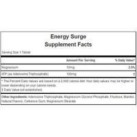 Hammer Nutrition Surge