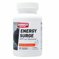 Hammer Nutrition Surge