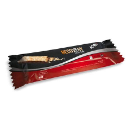 Born Born Recovery Nuts Bar (48gr)