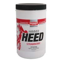 Hammer Nutrition HEED Dorstlesser (928gr) - 32 servings