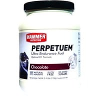Hammer Nutrition PERPETUEM Energie sportdrank (1104gr) - 16 servings
