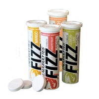 Hammer Nutrition Endurolytes Fizz (13 tabs) Hydratatietabletten