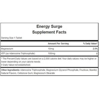 Hammer Nutrition Surge