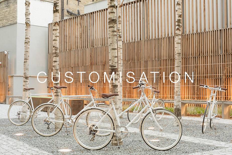Customisation