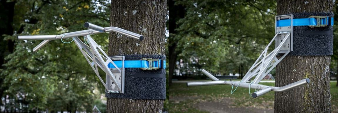 pull up bar in tree