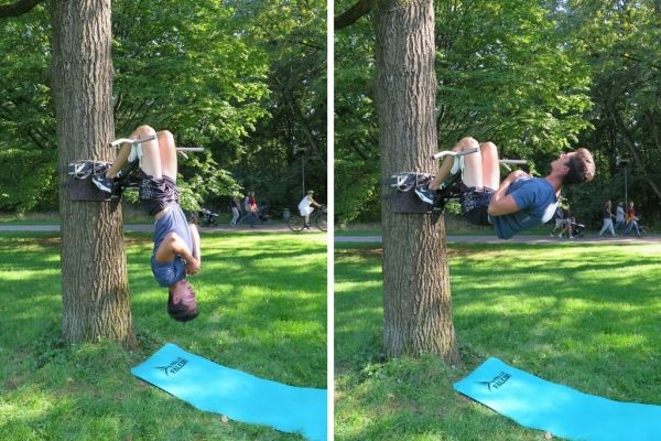 pull up bar in tree