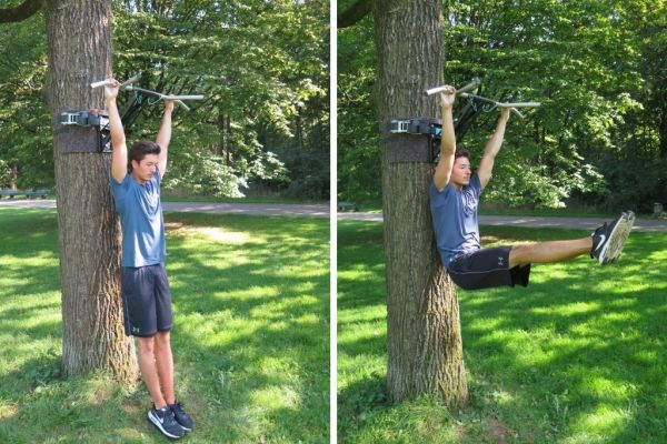 pull up bar workout beginner