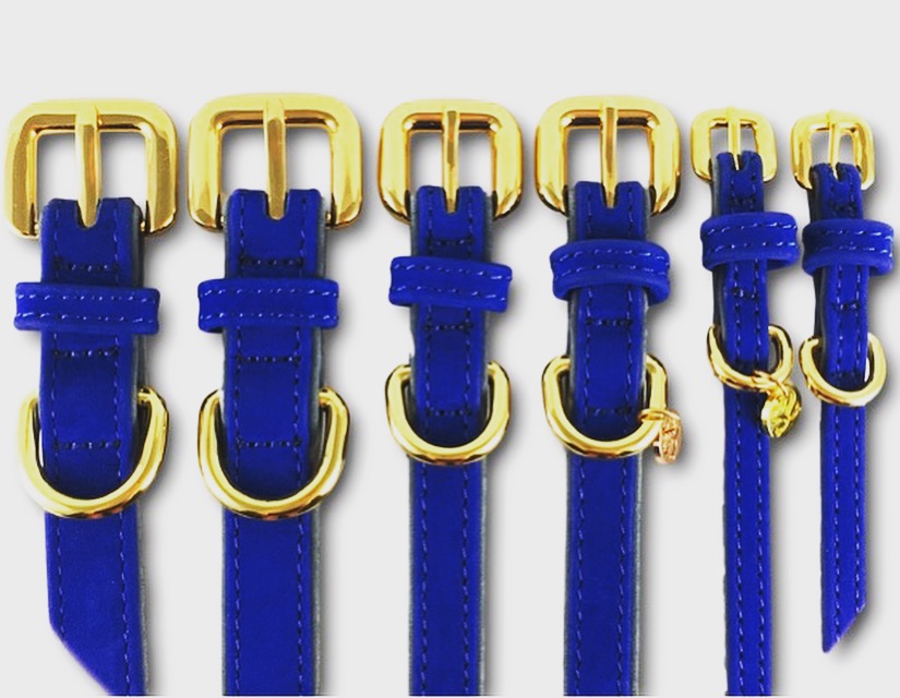 Blaues Hundehalsband