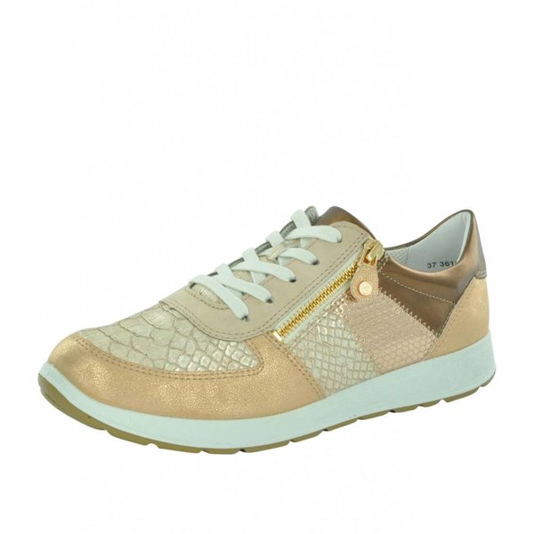 JY 59506 Glendale (G)