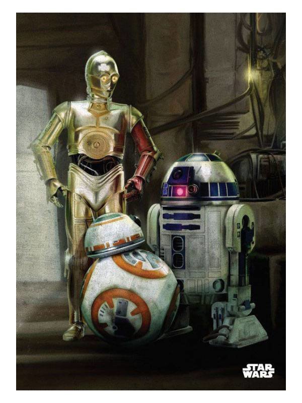 Star Wars: Droiden Metall Poster