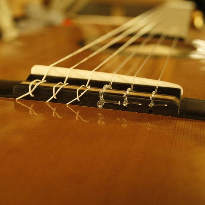 #2 Laksoorten op Klassieke Gitaren