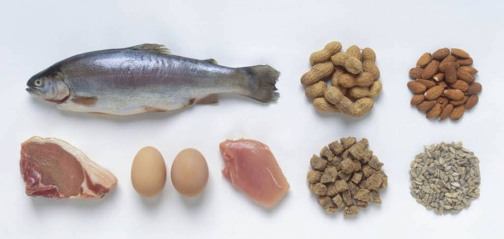 De juiste eiwitrijke voeding voor vegetariërs en veganisten