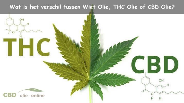 THC Olie kopen | Wat is THC Olie eigenlijk?