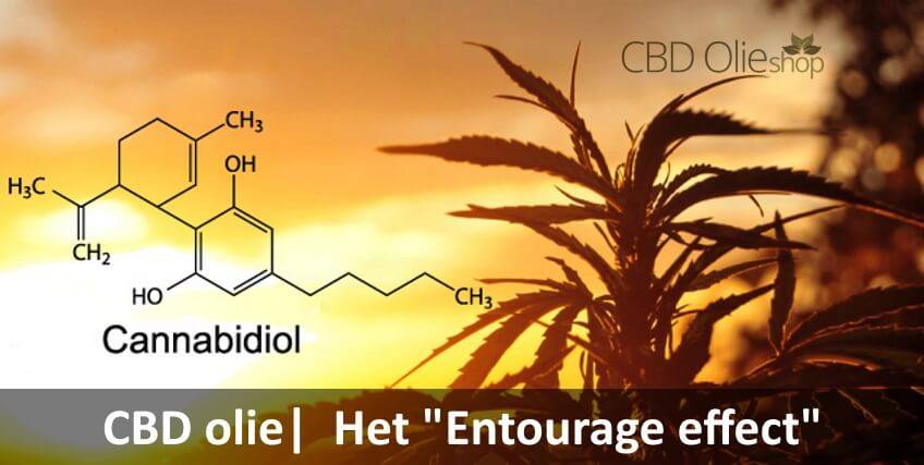 CBD olie, Wat houd het "Entourage effect" in?