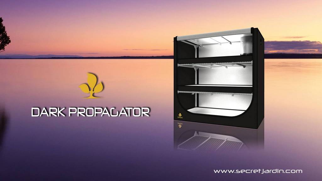 Dark Propagator Secret Jardin