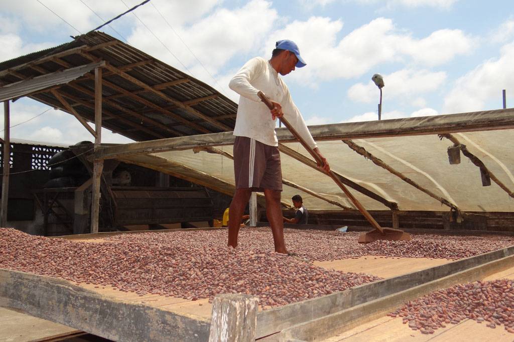 Wat betekent fairtrade?